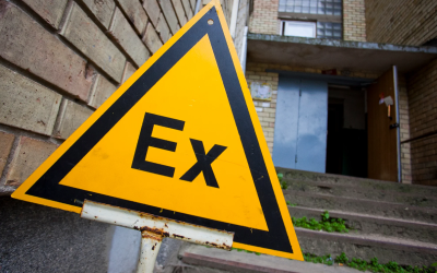 Ex audit